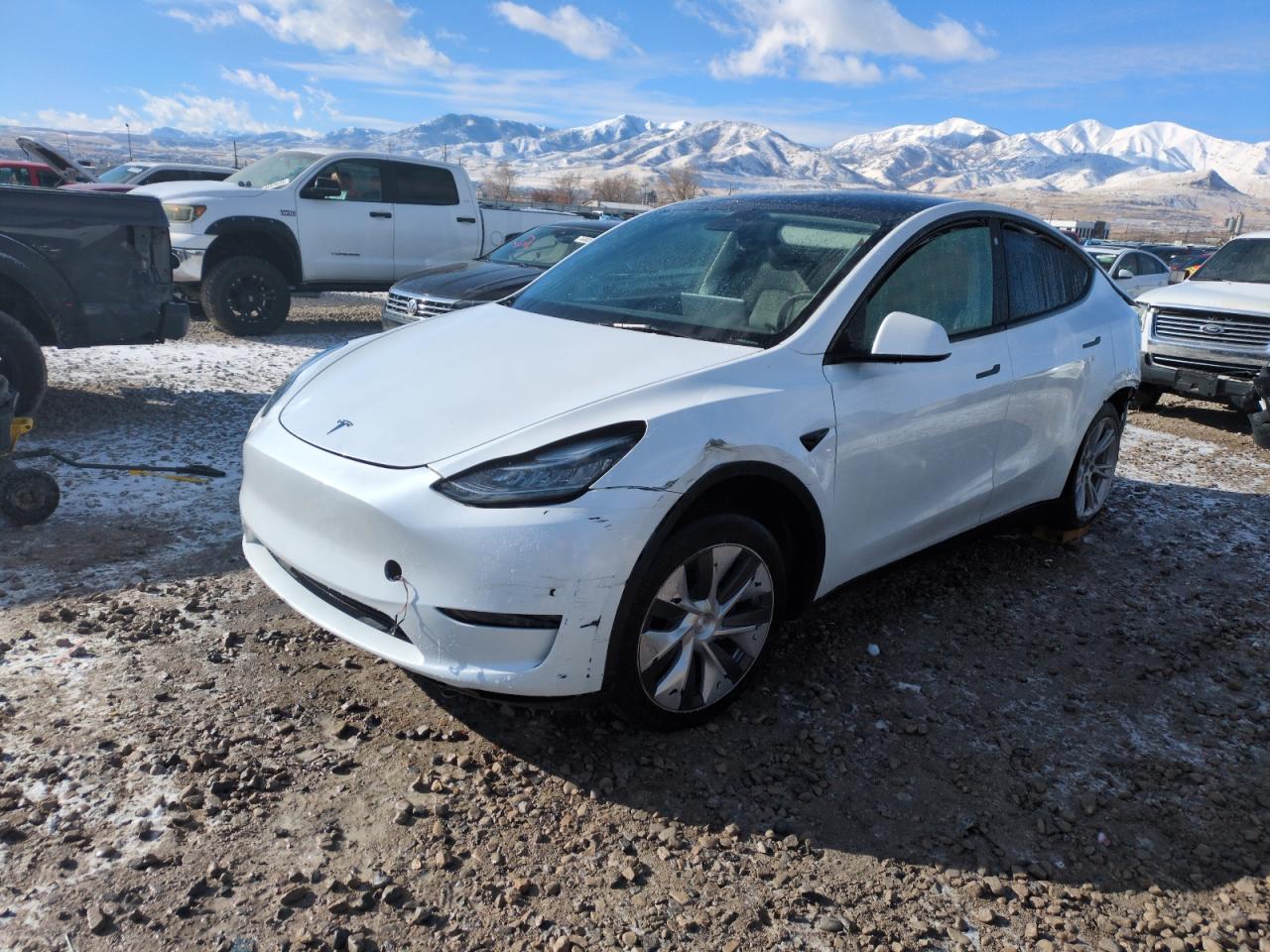2023 TESLA MODEL Y  VIN:7SAYGDEE9PA129845