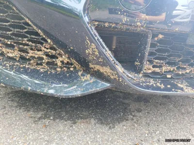 2022 BMW 840 WBAGV4108NCJ40788 VIN:WBAGV4108NCJ40788