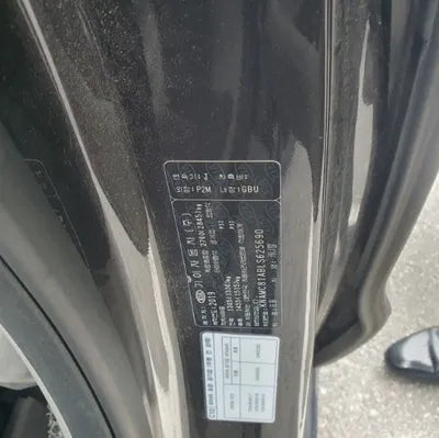 2019 Kia Carnival VIN: