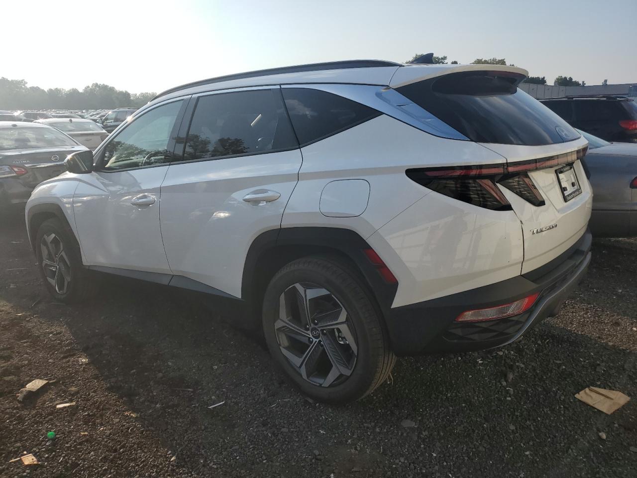 2024 HYUNDAI TUCSON LIMITED VIN:5NMJECDE2RH394028