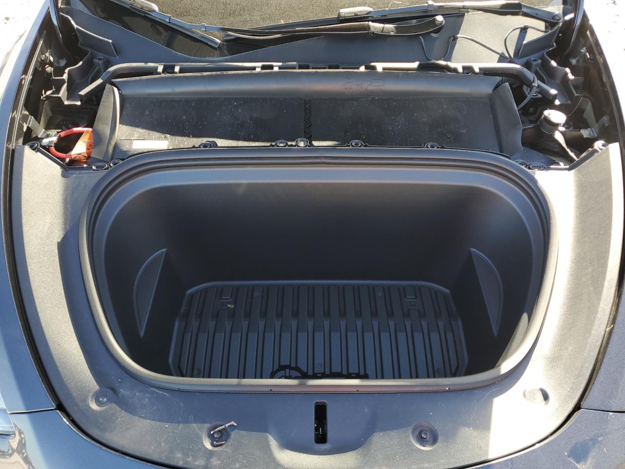 2024 TESLA MODEL Y  VIN:7SAYGDED8RF158962