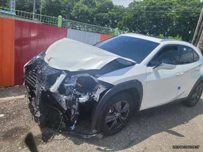 2021 Lexus UX 250 VIN: