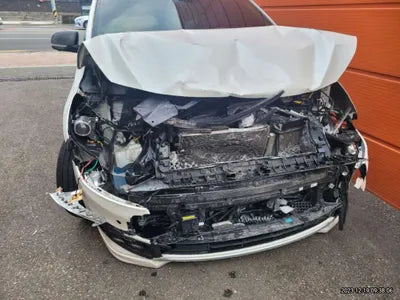 2017 Kia Carnival 880KMKNAME81ABHS2 VIN:880KMKNAME81ABHS2