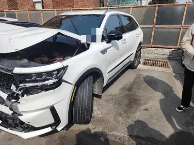 2021 Kia Sorento KNARF81GDMA045087 VIN:KNARF81GDMA045087