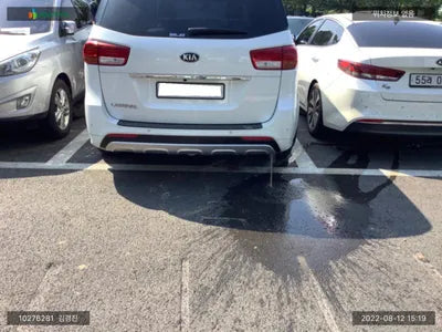 2018 Kia Carnival KNAMC81ABJS439426 VIN:KNAMC81ABJS439426