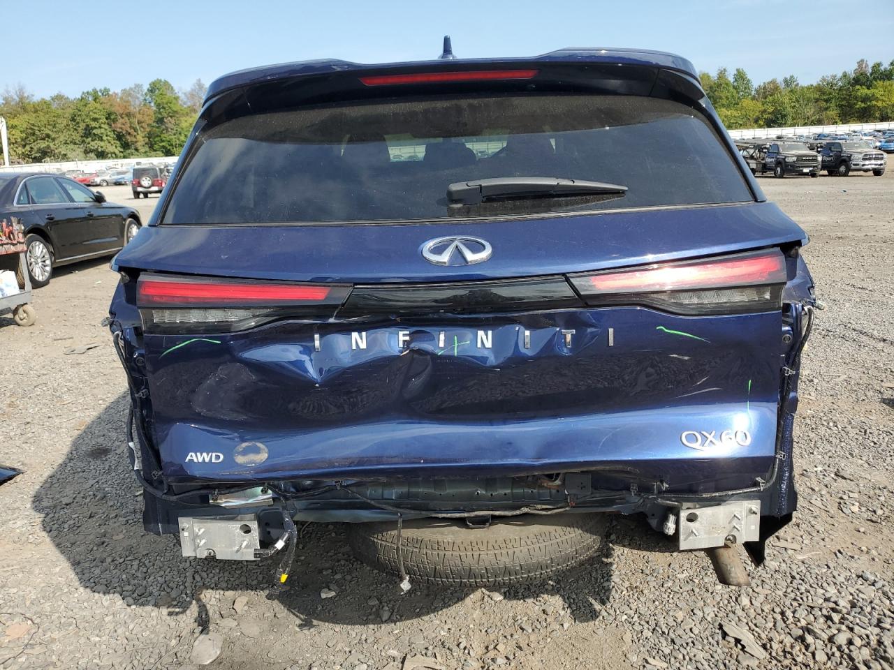 2022 INFINITI QX60 LUXE VIN:5N1DL1FS5NC342262