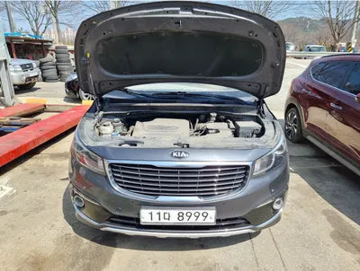 2016 Kia Carnival 713KMKNAMC81ABGS1 VIN:713KMKNAMC81ABGS1