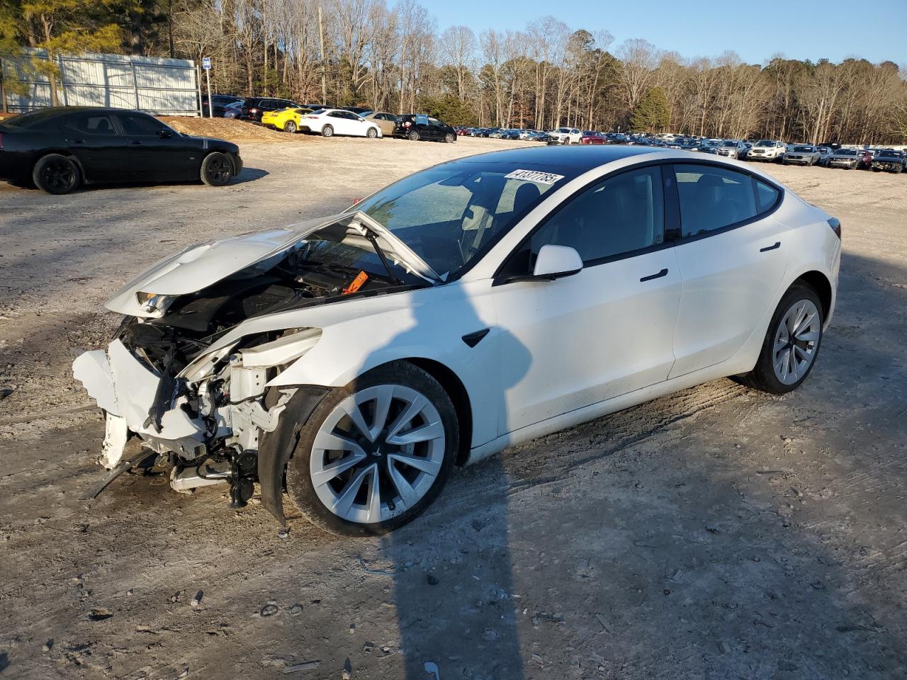 2023 TESLA MODEL 3  VIN:JN1BY1AR5DM604813