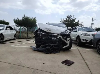 2018 Hyundai Santa FE KMHSW81UBJU788786 VIN:KMHSW81UBJU788786