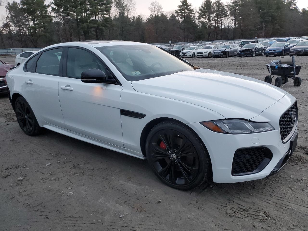 2024 JAGUAR XF R-DYNAMIC SE VIN:SAJBL4GX2RCY96275