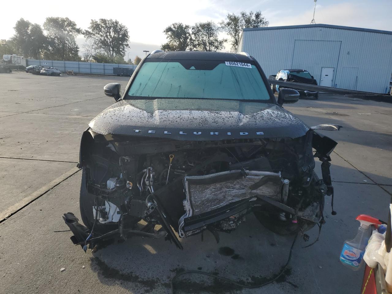 2022 KIA TELLURIDE SX VIN:5XYP5DHC3NG197690