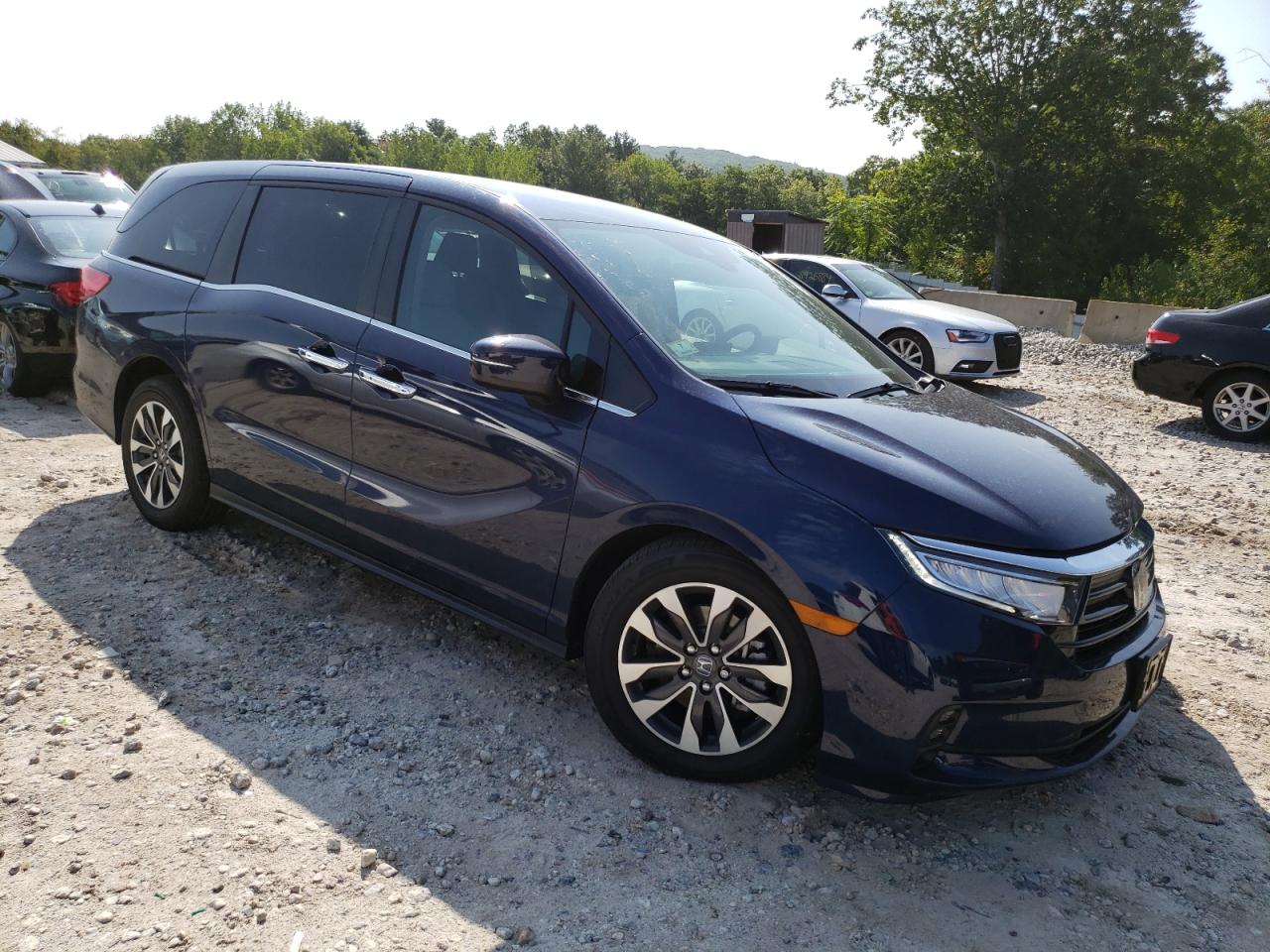 2024 HONDA ODYSSEY EXL VIN:5FNRL6H66RB070093