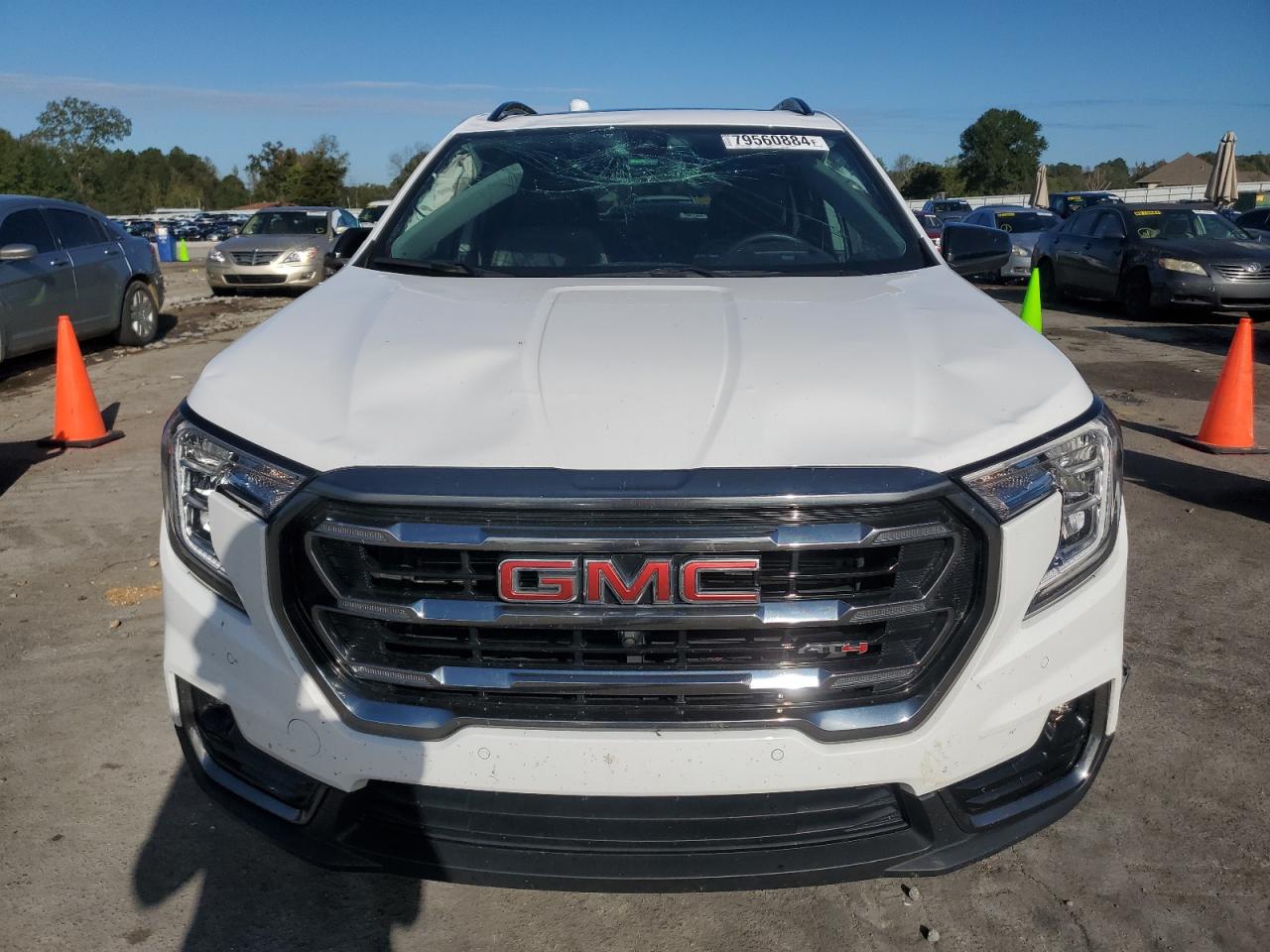 2023 GMC TERRAIN AT4 VIN:3GKALYEG0PL119541