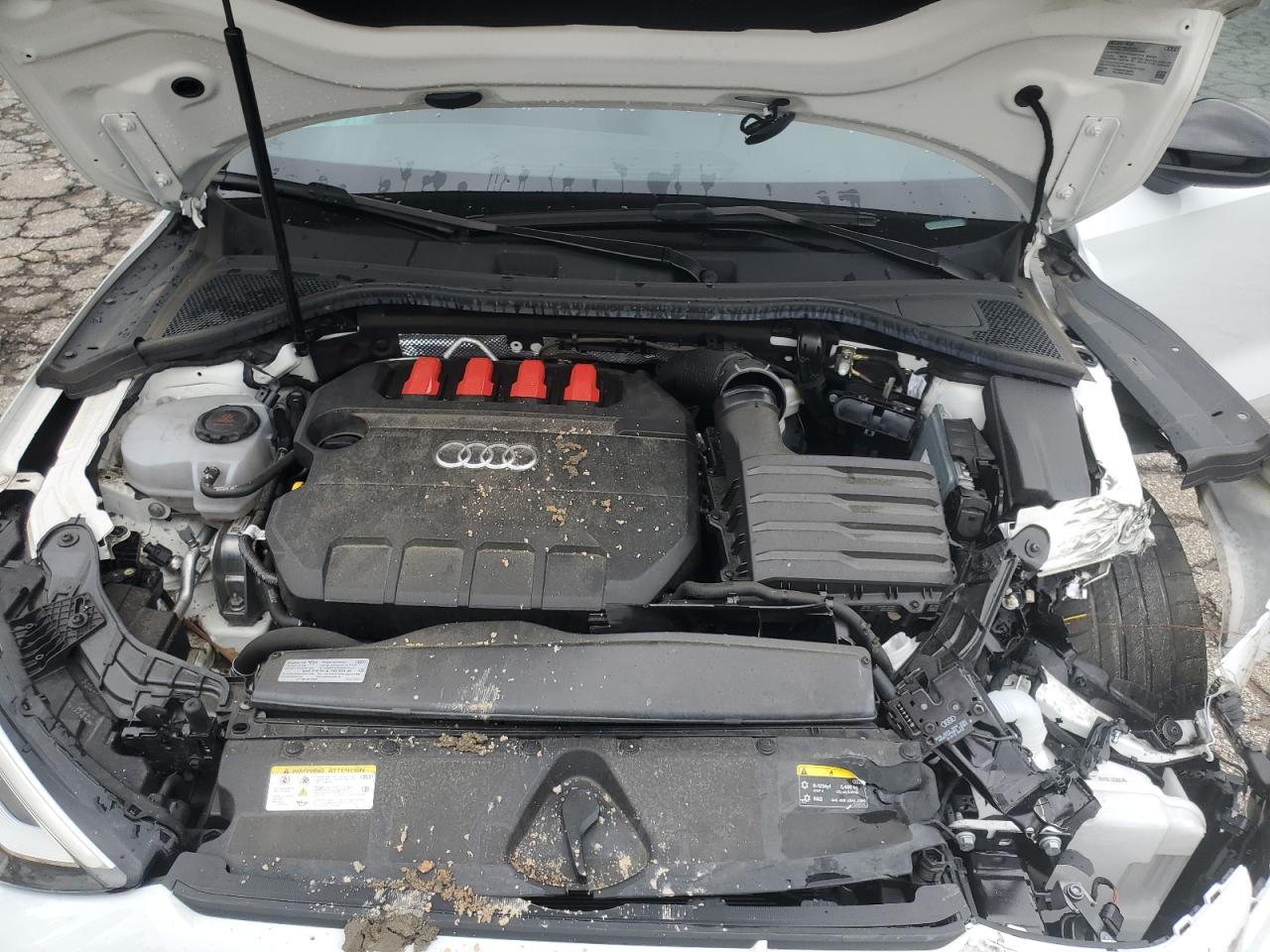 2023 AUDI S3 PREMIUM PLUS VIN:WAUH3DGY5PA054747
