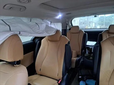 2020 Kia Carnival KNANC81BBMS018906 VIN:KNANC81BBMS018906