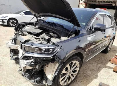 2021 Kia Sorento KNARH81BGMA056349 VIN:KNARH81BGMA056349