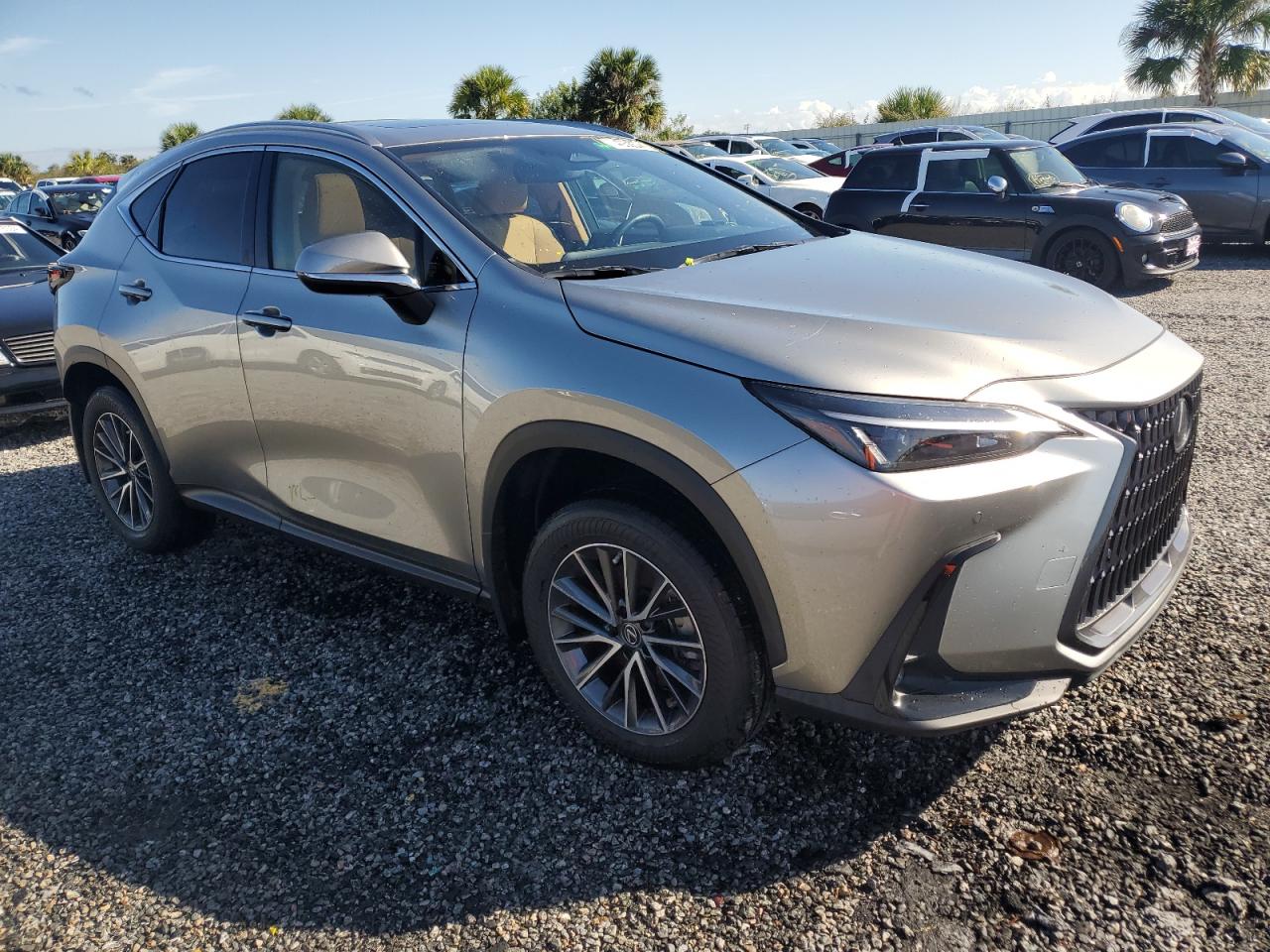 2022 LEXUS NX 250 VIN:JTJGDCAZ9N5002290
