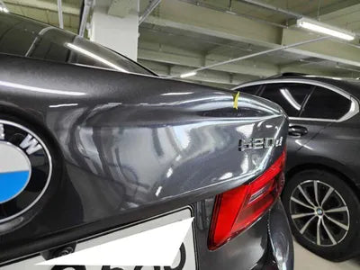 2020 BMW 520 WBAJF3108LWW87360 VIN:WBAJF3108LWW87360