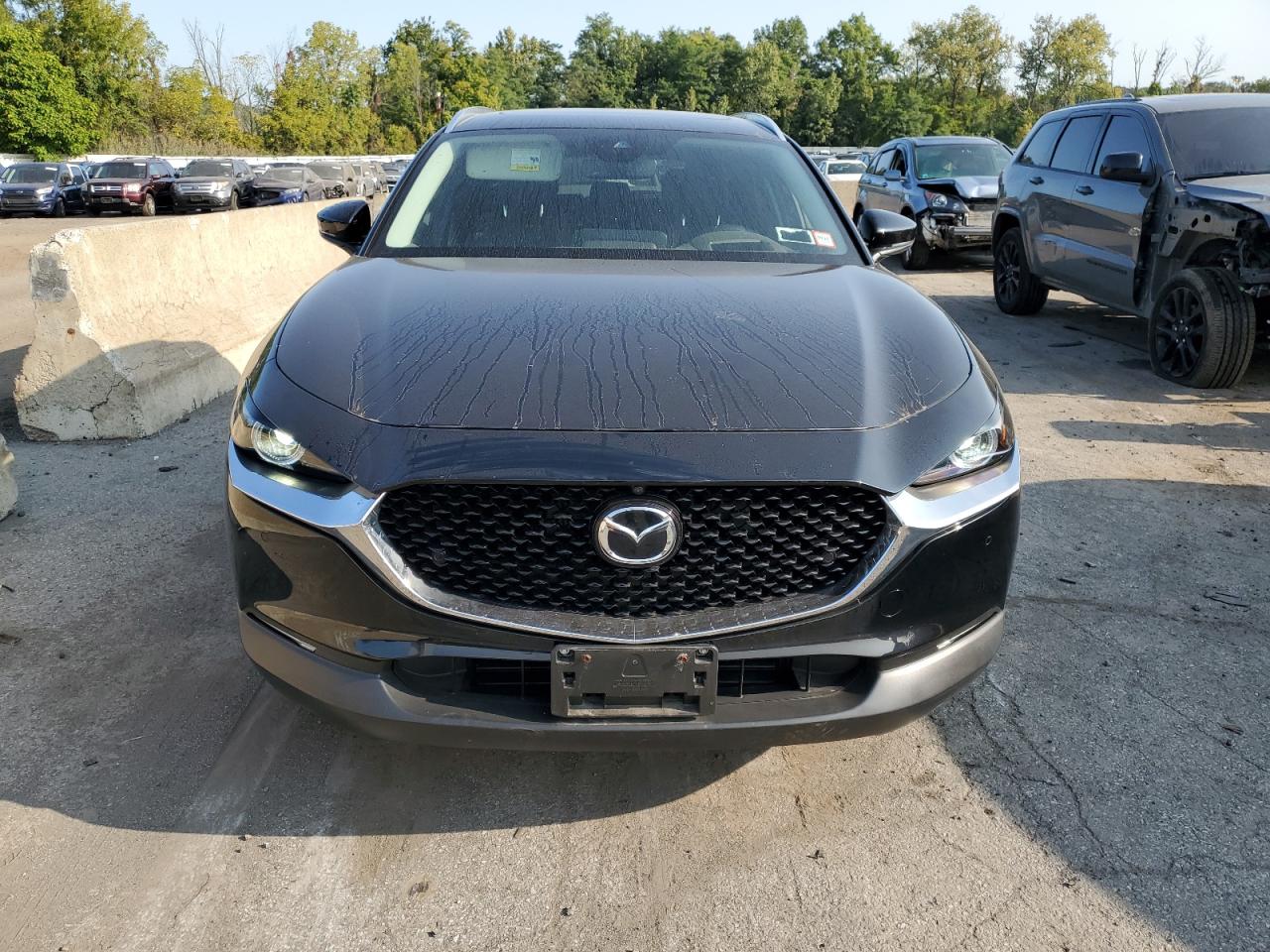 2023 MAZDA CX-30 PREMIUM PLUS VIN:3MVDMBEY9PM535205