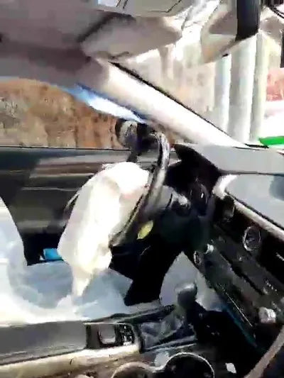 2017 Lexus RX 450 JTJBGMCAXH2033651 VIN:JTJBGMCAXH2033651