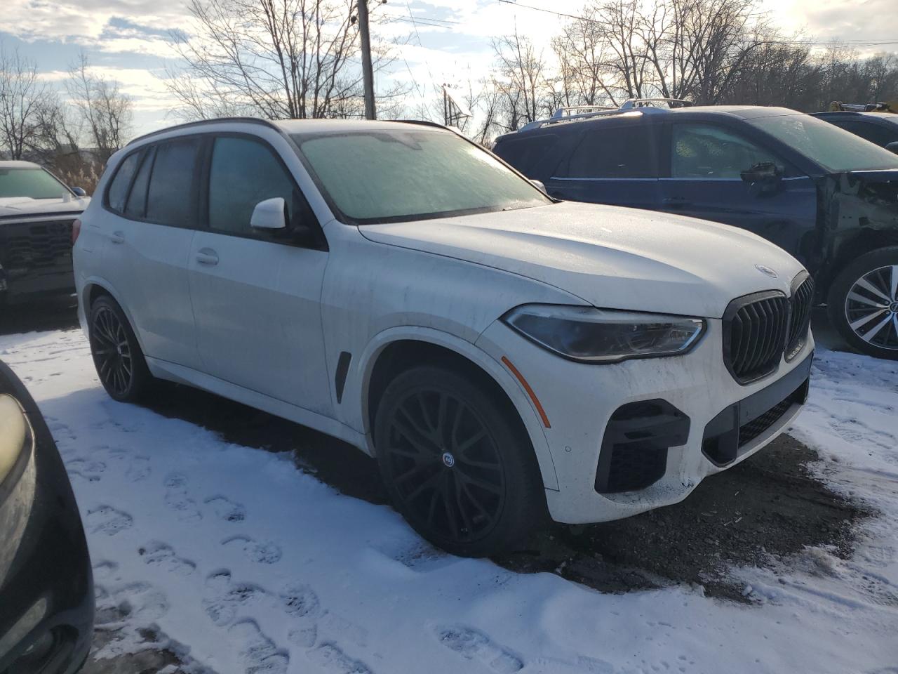 2023 BMW X5 M50I VIN:5UXJU4C03P9P60861