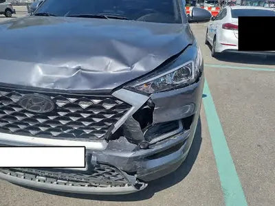 2019 Hyundai Tucson KMHJ381ABKU091955 VIN:KMHJ381ABKU091955