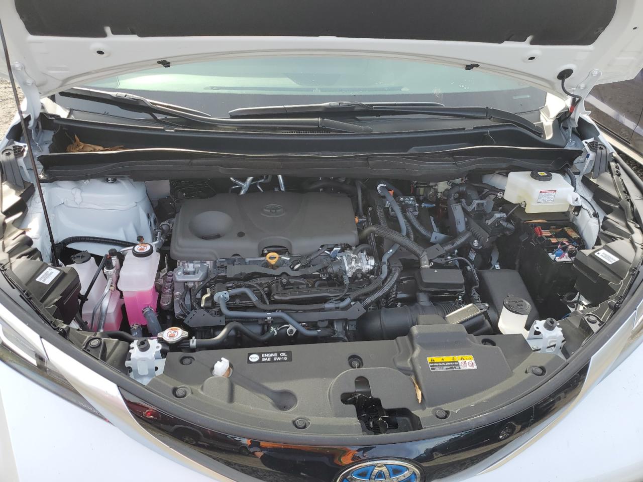 2024 TOYOTA SIENNA LIMITED VIN:5TDZRKEC4RS204631