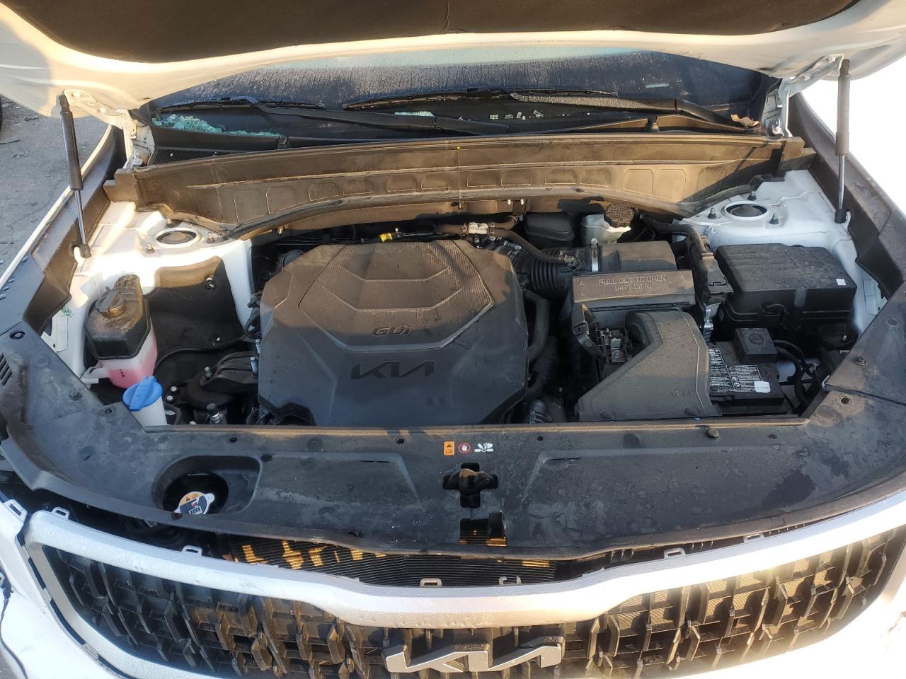 2023 KIA TELLURIDE EX VIN:5XYP3DGC5PG341556