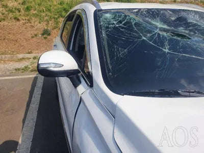 2020 Hyundai Santa FE KMHS281BDLU297854 VIN:KMHS281BDLU297854