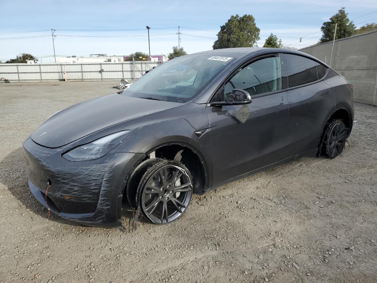 2024 TESLA MODEL Y  VIN:7SAYGDED7RF114483