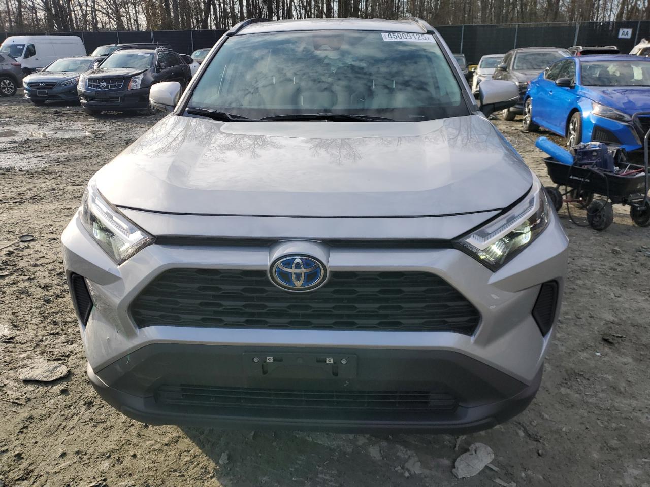 2024 TOYOTA RAV4 XLE VIN:2T3RWRFV7RW240216