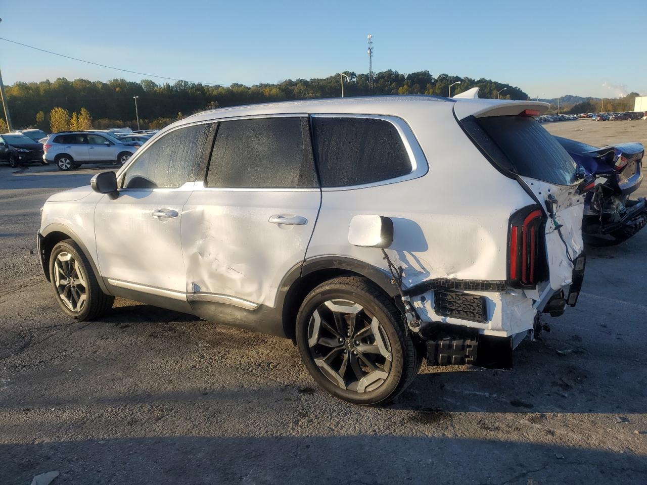 2023 KIA TELLURIDE EX VIN:5XYP3DGC5PG341556