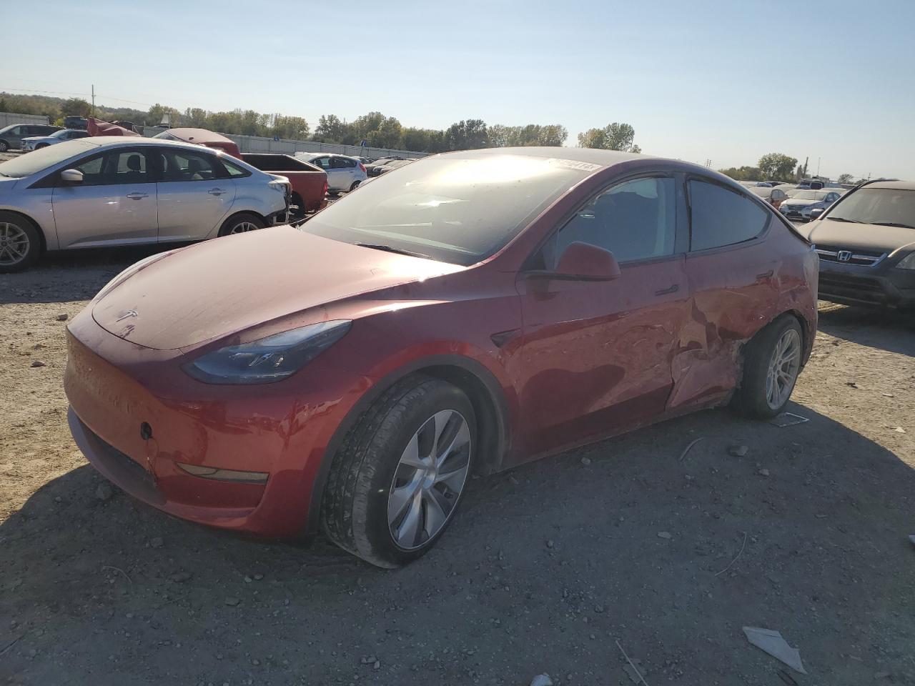 2024 TESLA MODEL Y  VIN:7SAYGDEDXRF005354