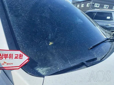 2019 Hyundai Santa FE KMHS281BBKU161615 VIN:KMHS281BBKU161615