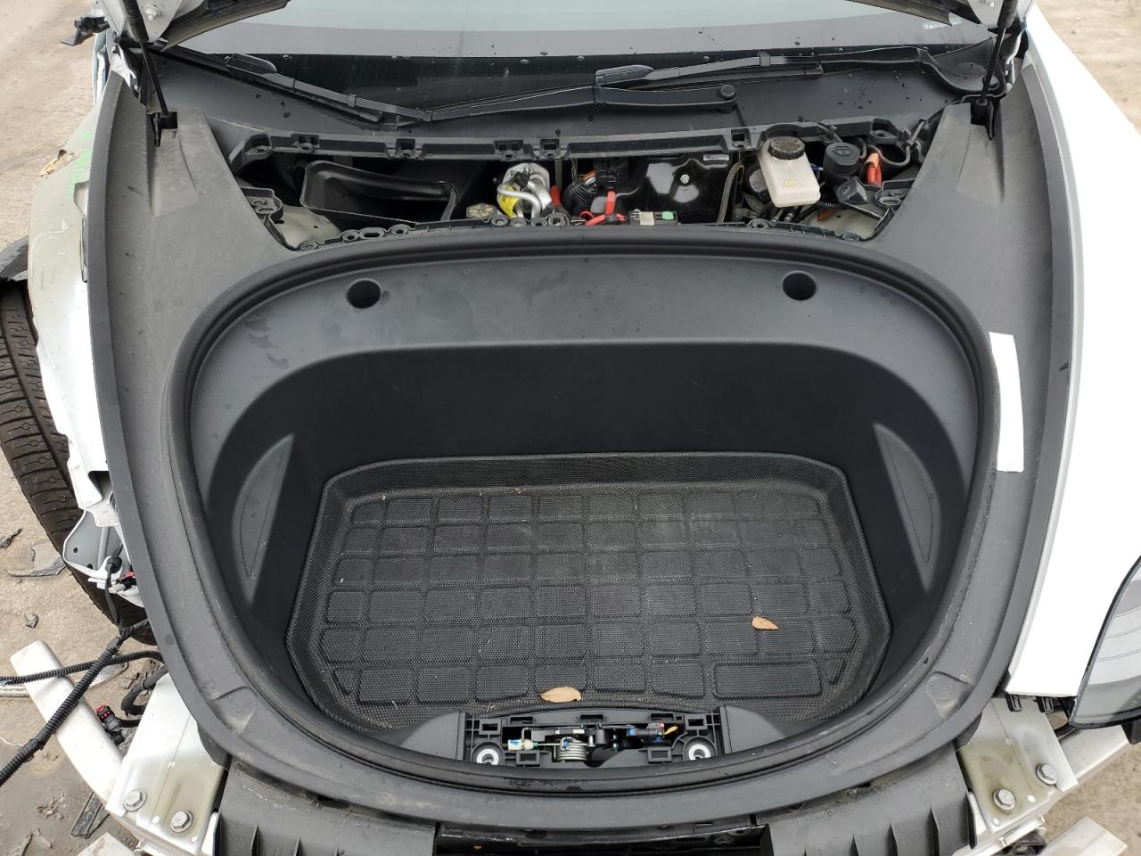 2022 TESLA MODEL 3  VIN:5YJ3E1EA3NF331444