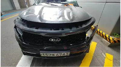 2021 Kia Sorento KNARG81BGMA017381 VIN:KNARG81BGMA017381
