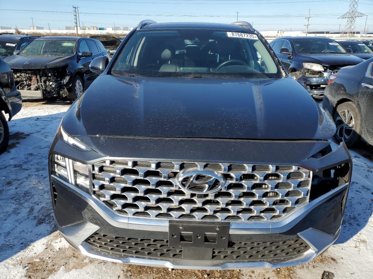 2023 HYUNDAI SANTA FE SEL PREMIUM VIN:5NMS3DA12PH011767