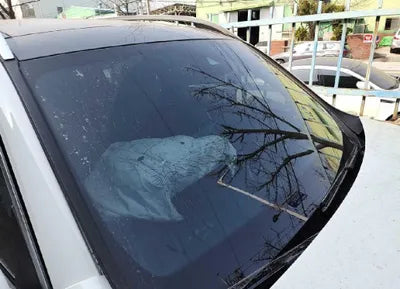 2021 Mercedes-Benz B 220 W1N4M4EB0MW090527 VIN:W1N4M4EB0MW090527