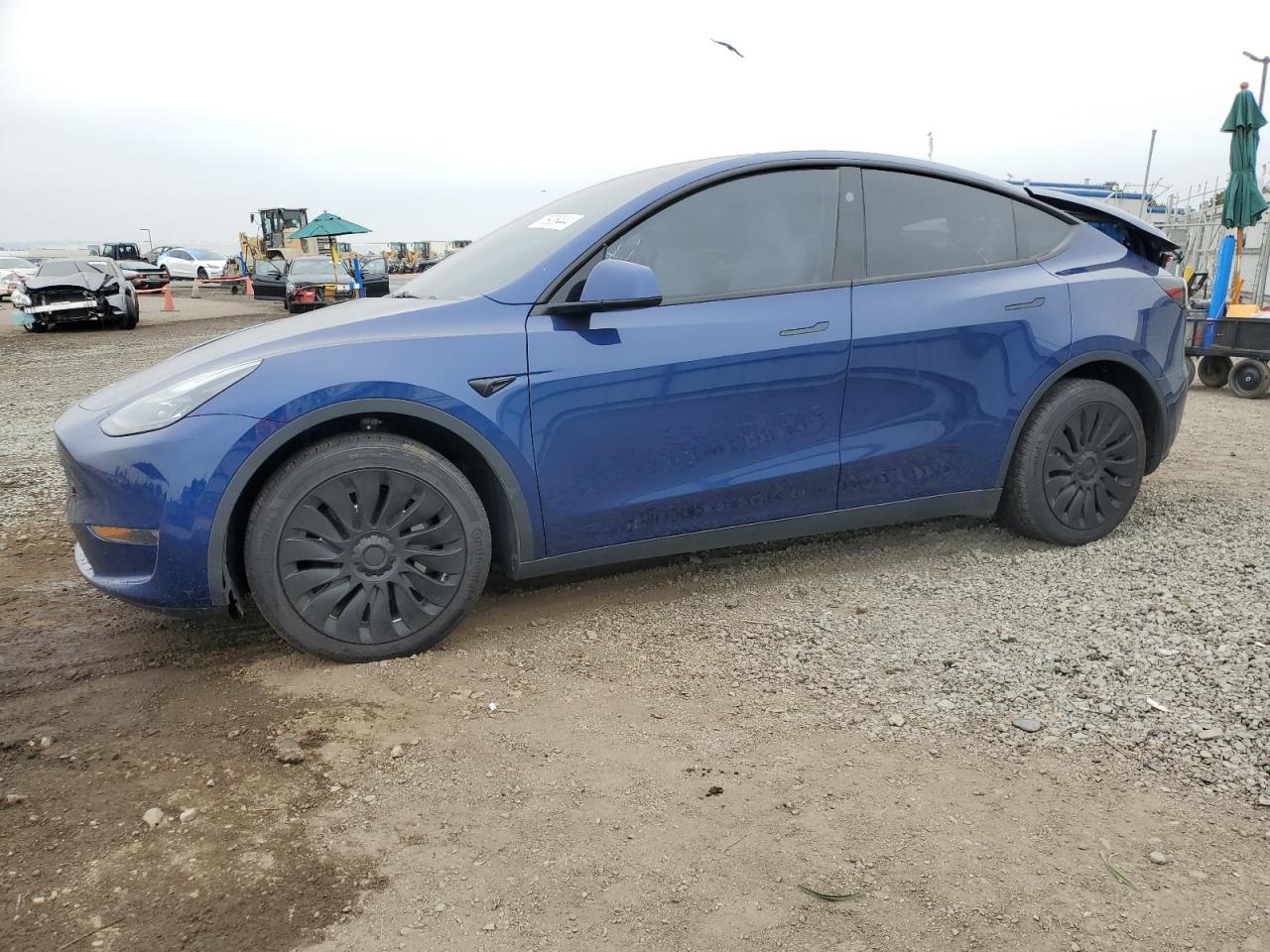 2023 TESLA MODEL Y  VIN:7SAYGDEE1PF796069