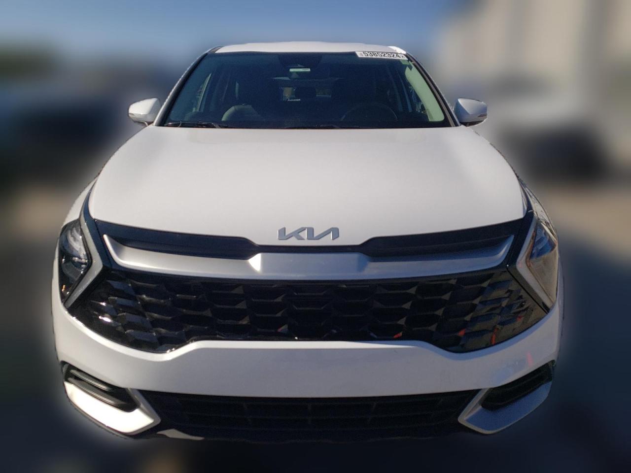 2023 KIA SPORTAGE EX VIN:5XYK33AF5PG123558
