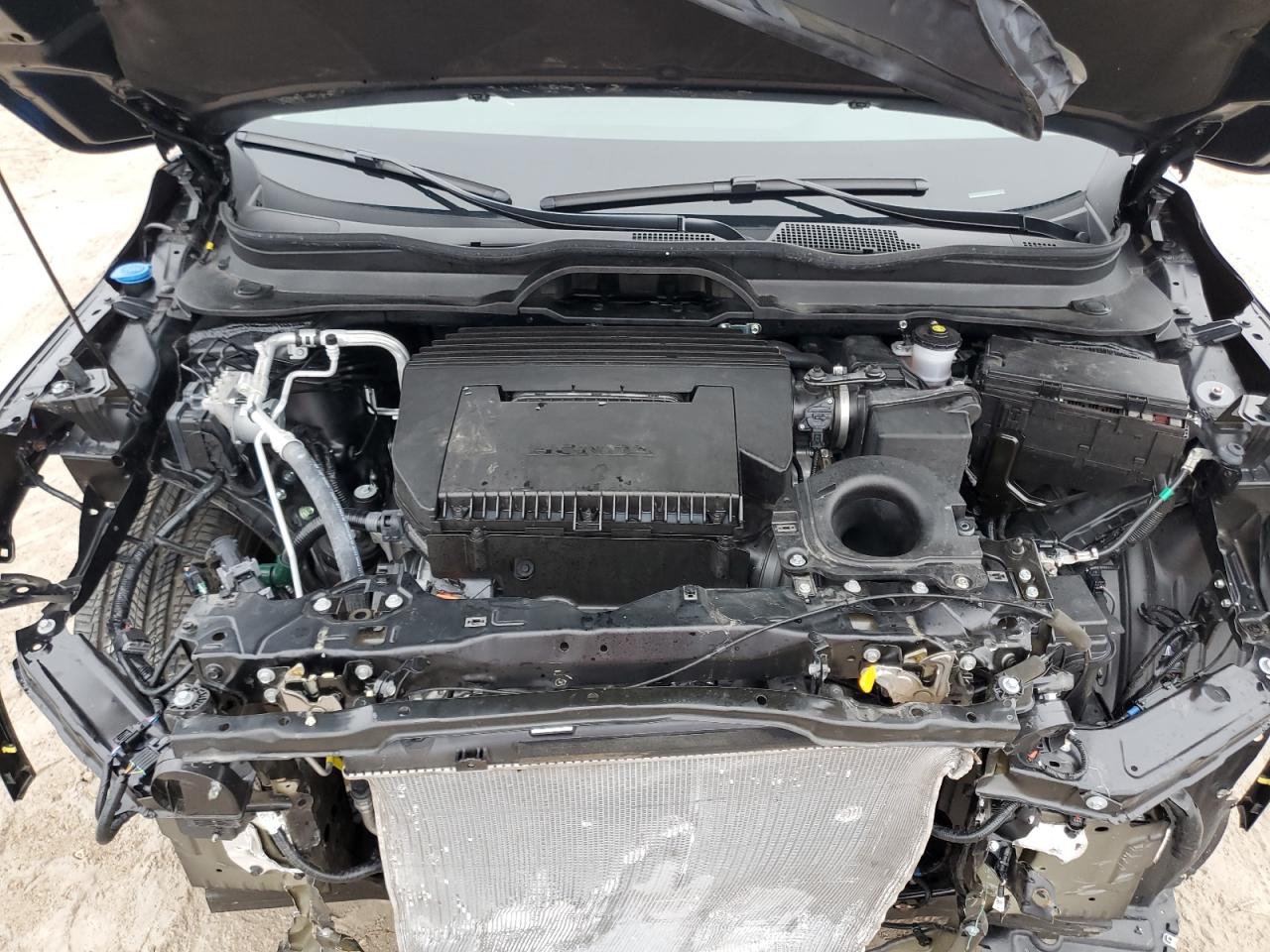 2024 HONDA PILOT EXL VIN:5FNYG2H51RB008049