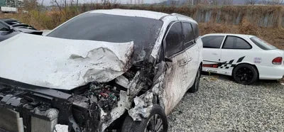 2019 Kia Carnival KNHMF37ABKS553933 VIN:KNHMF37ABKS553933