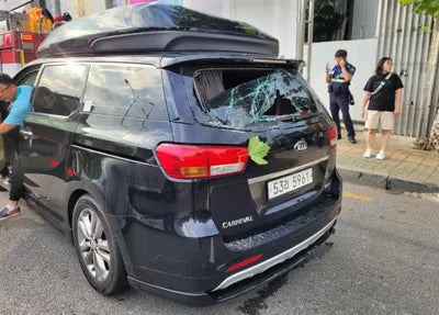 2018 Kia Carnival KNAME81ABJS421510 VIN:KNAME81ABJS421510