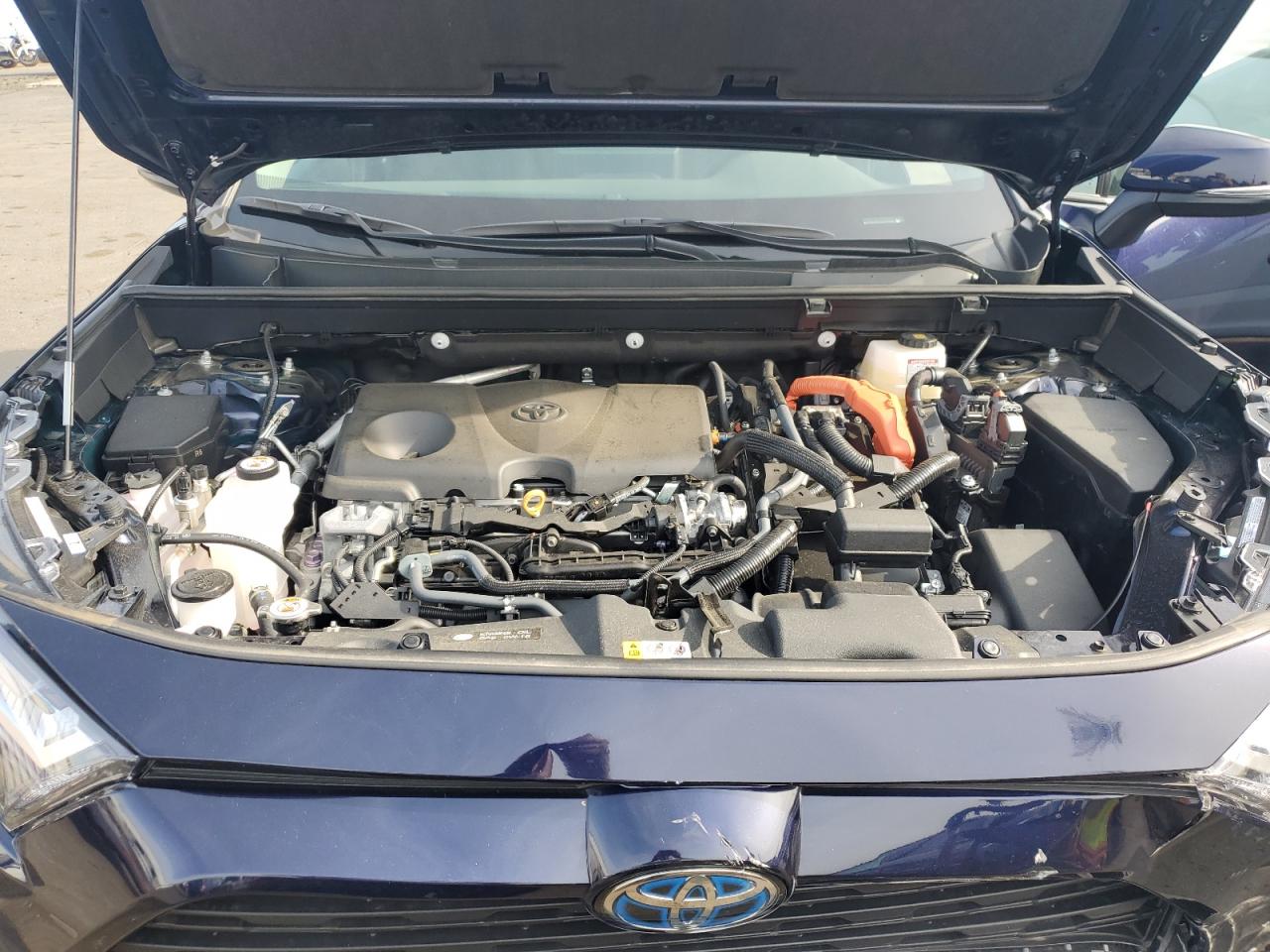 2024 TOYOTA RAV4 XLE VIN:4T3RWRFV5RU113805