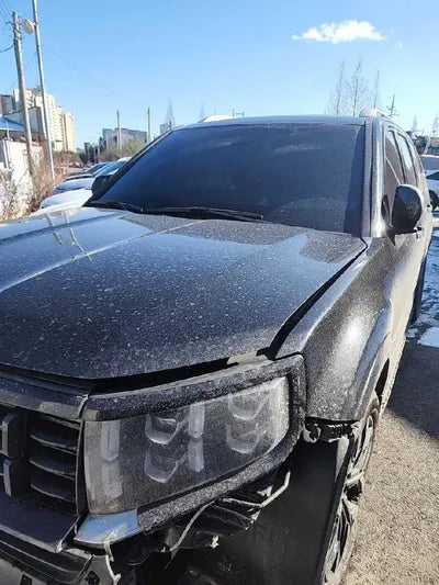 2020 Kia Mohave KNAKN814DLA200855 VIN:KNAKN814DLA200855