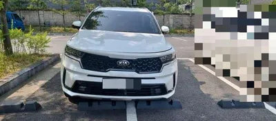 2020 Kia Sorento KNARG81BHMA001830 VIN:KNARG81BHMA001830
