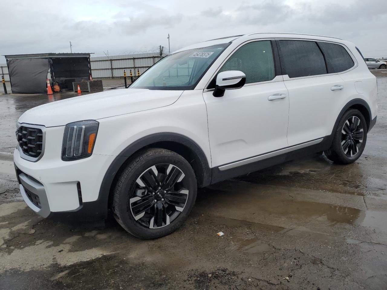 2024 KIA TELLURIDE SX VIN:5XYP5DGC5RG472564