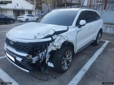 2020 Kia Sorento KNARM81BGMA049603 VIN:KNARM81BGMA049603