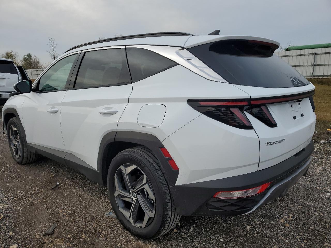 2024 HYUNDAI TUCSON LIMITED VIN:KM8JECD12RU246446