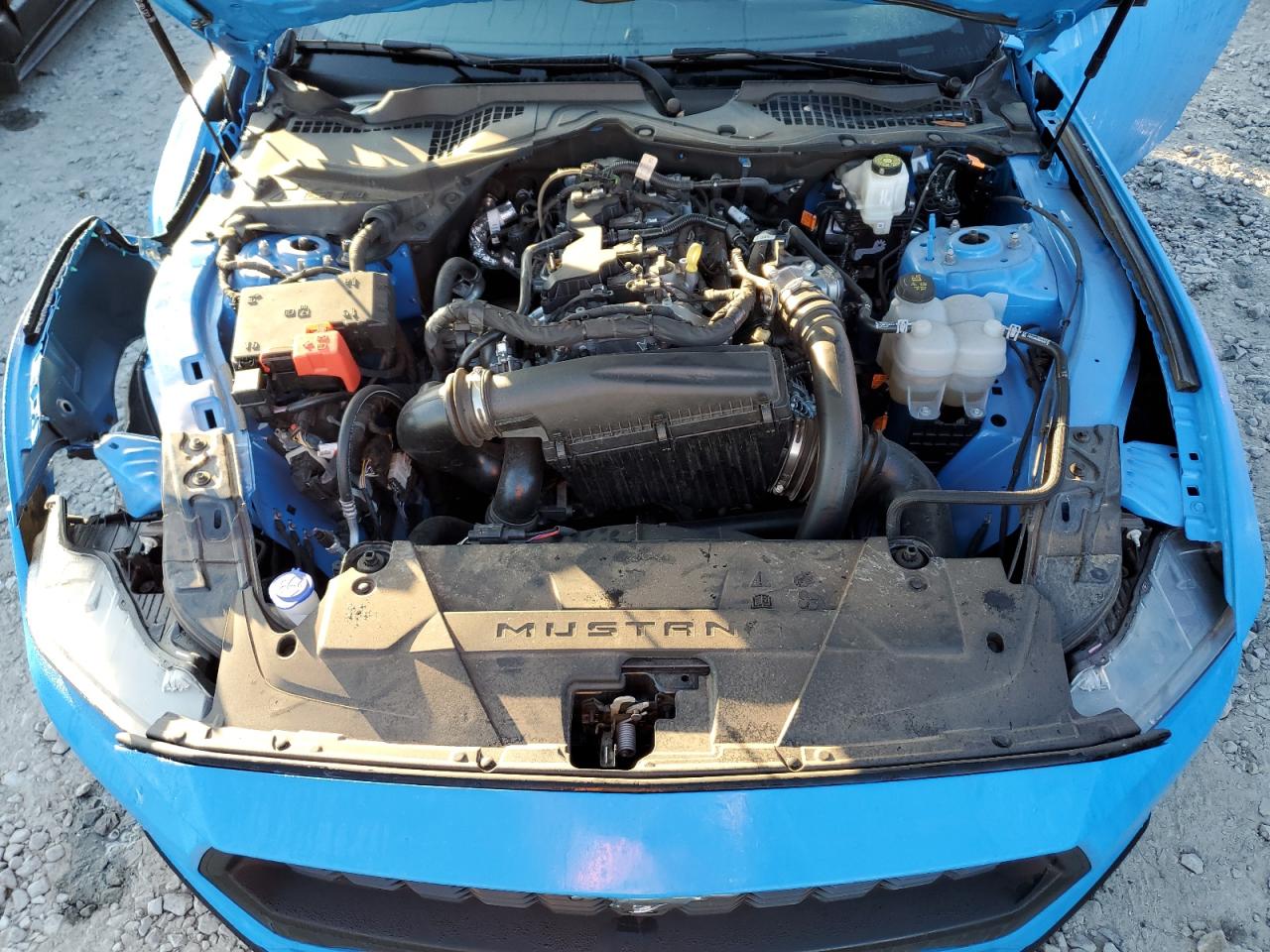 2024 FORD MUSTANG  VIN:1FA6P8TH8R5126876